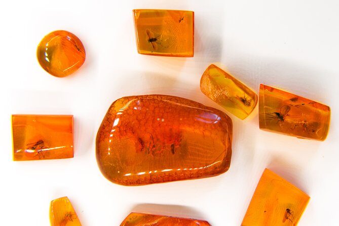 Klaipeda Private Walking Tour - What’s Included & What’s Not