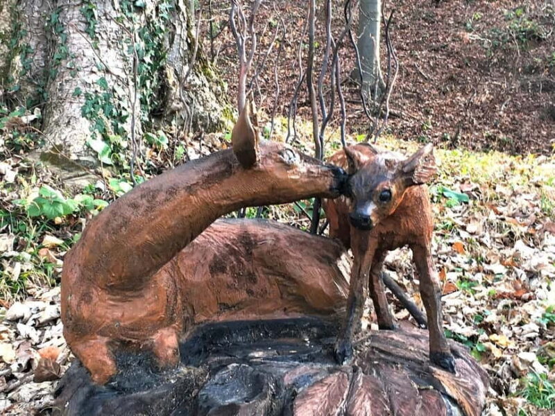 Klanjec: Hiking on Cesargrad and the heritage of Klanjec - Return Journey and Additional Stops