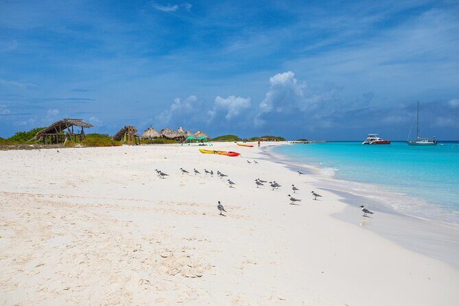 Klein Curacao Sunset Cruise with Open Bar and BBQ - What We Love About This Tour