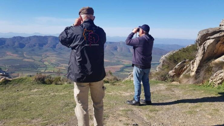 Klein Karoo Birding - Pricing and Duration
