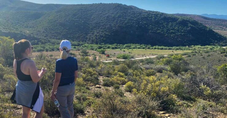 Klein Karoo - Nature Walk With a Picnic - Experience Description