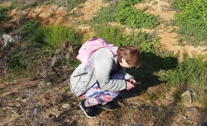 Klein Karoo - Nature Walk With a Picnic - The Sum Up
