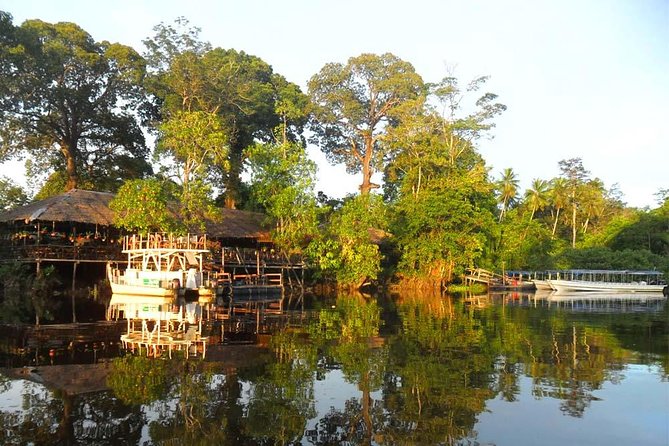 Klias River Safari Tour From Kota Kinabalu - Quality of River Cruise