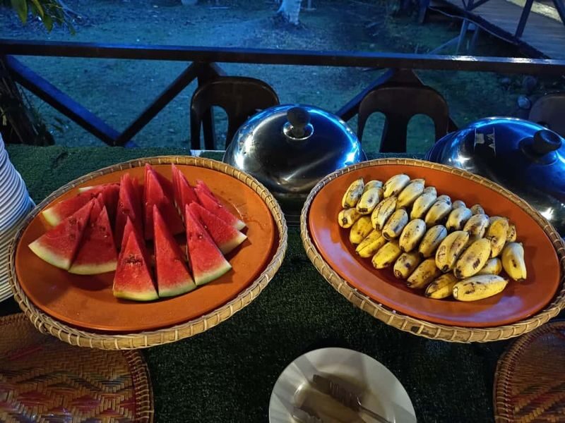 Klias River Wildlife and Fireflies Cruise Day Tour - Fireflies bring a different kind of wildlife encounter
