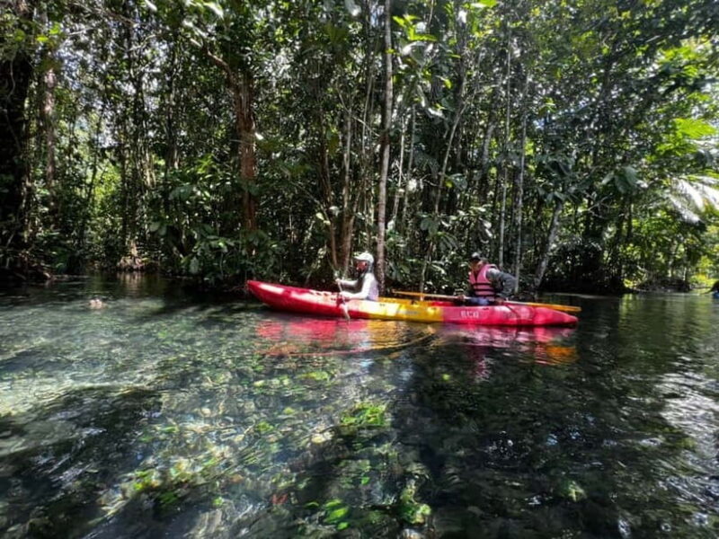Klong Rud Kayaking with Hotel Transfer - Good To Know