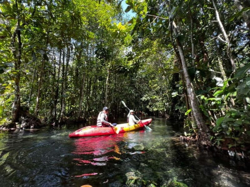 Klong Rud Kayaking with Hotel Transfer - An In-Depth Look at Klong Rud Kayaking