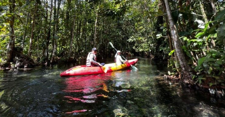 Klong Rud Kayaking With Hotel Transfer - Itinerary Highlights