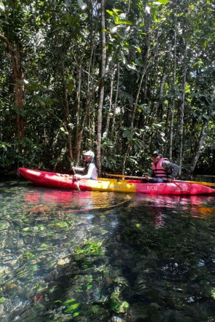 Klong Rud Kayaking With Hotel Transfer - Included Amenities