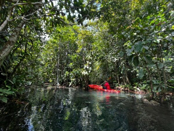 Klong Rud Kayaking With Hotel Transfer - Customer Feedback and Ratings