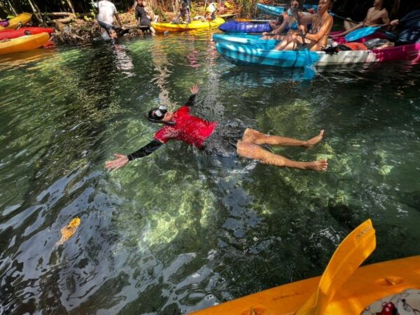 Klong Rud Kayaking With Hotel Transfer - Tips for a Great Experience