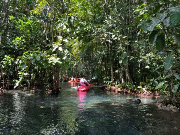 Klong Rud Kayaking With Hotel Transfer - Break Down