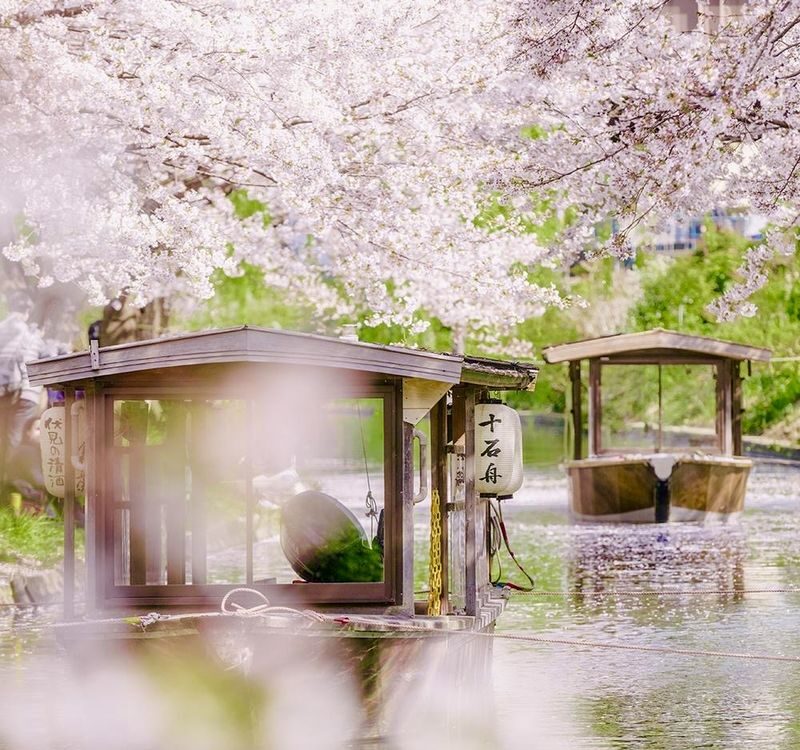Klook Exclusive: Kyoto Fushimi Jikkokubune Half-Day Small Group Cherry Blossom Tour - What to know before you book