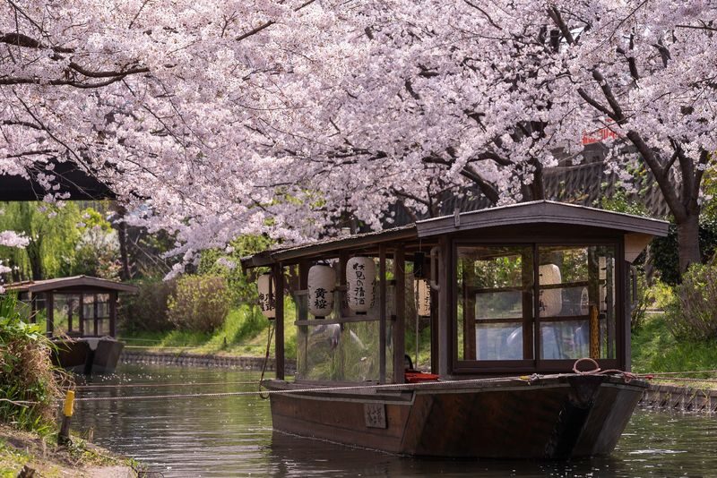 Klook Exclusive: Kyoto Fushimi Jikkokubune Half-Day Small Group Cherry Blossom Tour - Gokonomiya Shrine: water, prayers and a possible meeting point