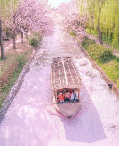 Klook Exclusive: Kyoto Fushimi Jikkokubune Half-Day Small Group Cherry Blossom Tour - Is the kaiseki meal worth adding?