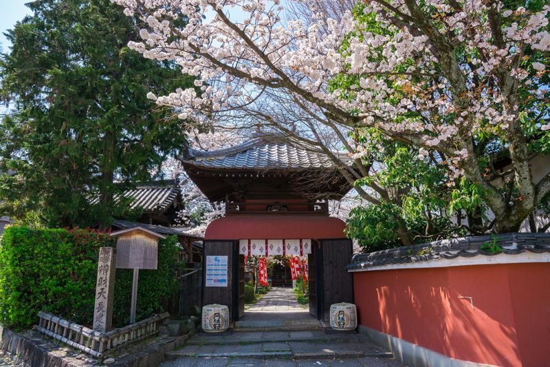 Klook Exclusive: Kyoto Fushimi Jikkokubune Half-Day Small Group Cherry Blossom Tour - Price, timing and practical trade-offs