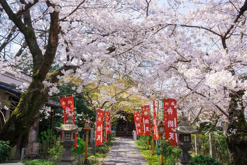 Klook Exclusive: Kyoto Fushimi Jikkokubune Half-Day Small Group Cherry Blossom Tour - Who should book this Fushimi outing?