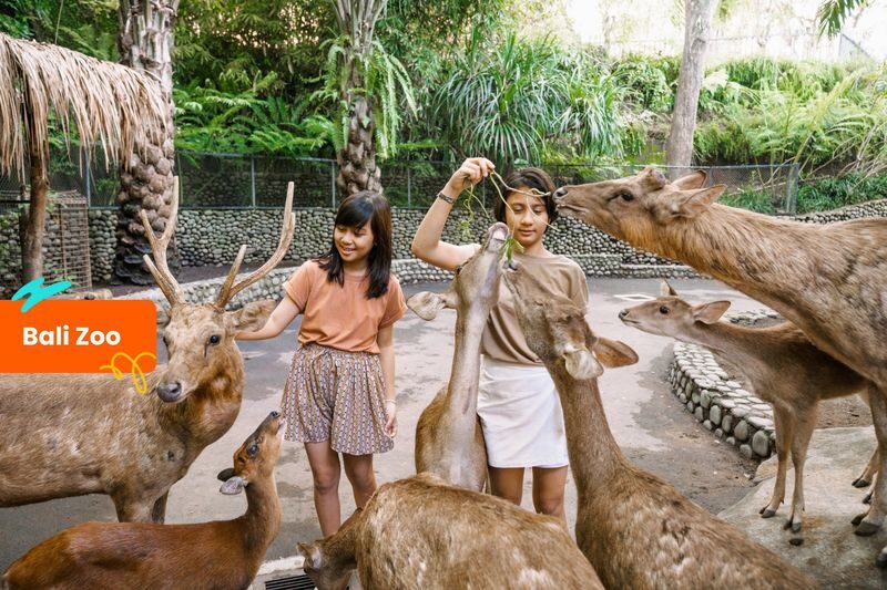 Klook Pass Bali - Sunrise trips and the realities of an early start