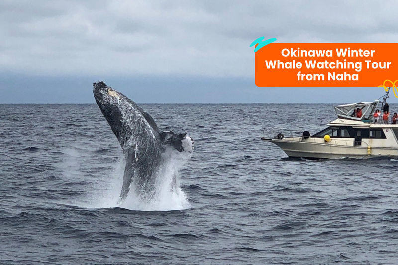 Klook Pass Okinawa - Super Saver: a practical mix of Okinawa sights