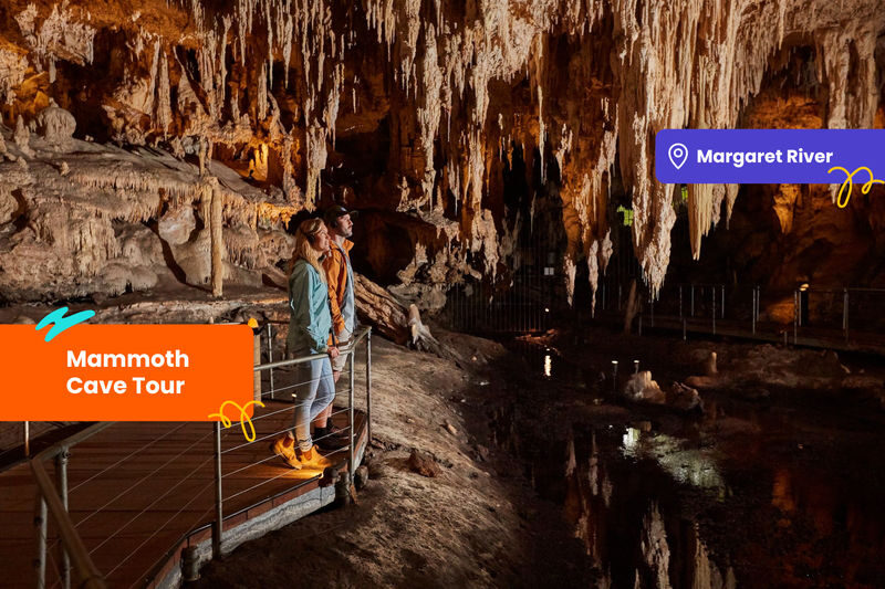 Klook Pass Perth - Who should choose the Klook Pass Perth?
