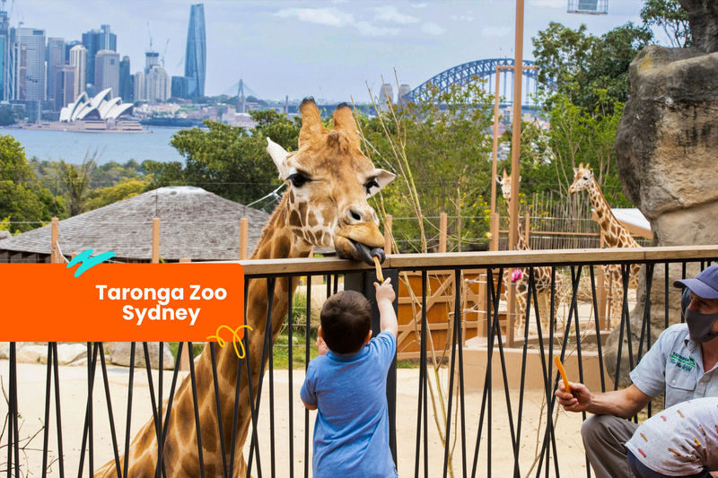 Klook Pass Sydney - Choosing attractions that fit your trip