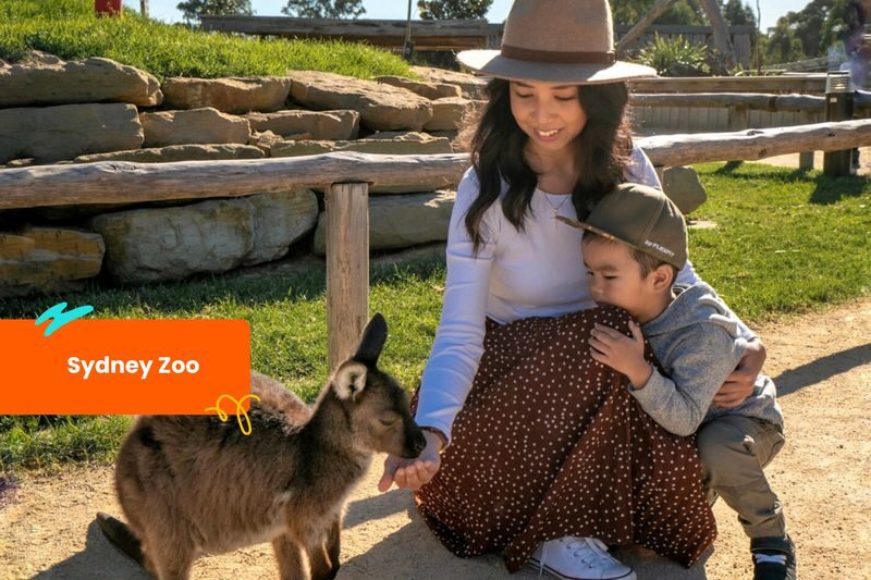 Klook Pass Sydney - Who should book the Klook Pass Sydney?