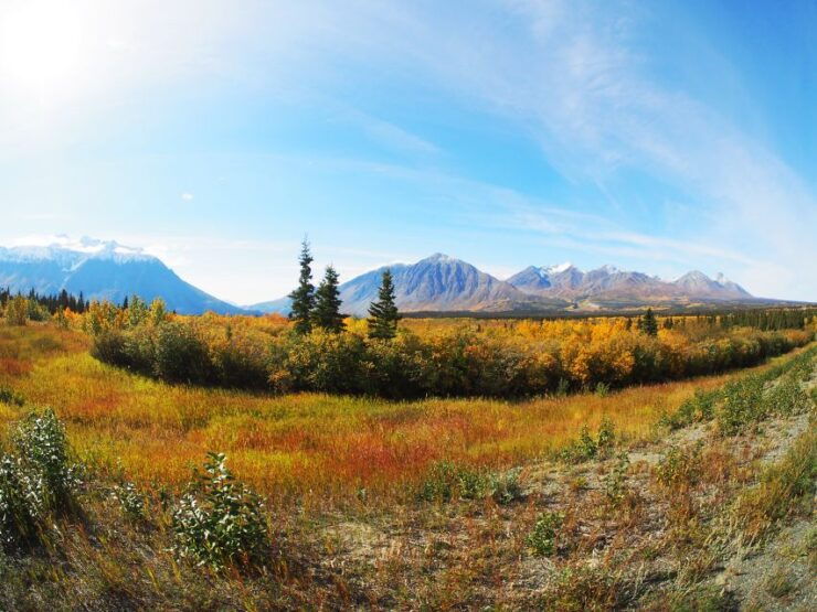 Kluane National Park: Full Day Tour - Tour Duration and Inclusions