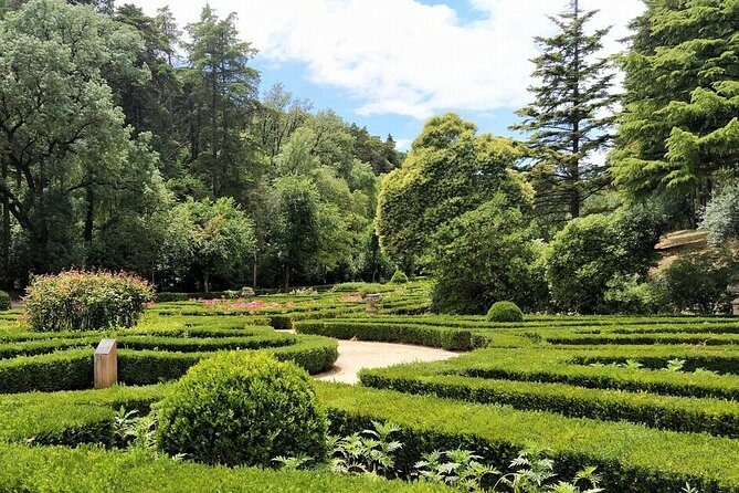 Knights Templar Route Full Day Private Tour From Lisbon - Insider Insights