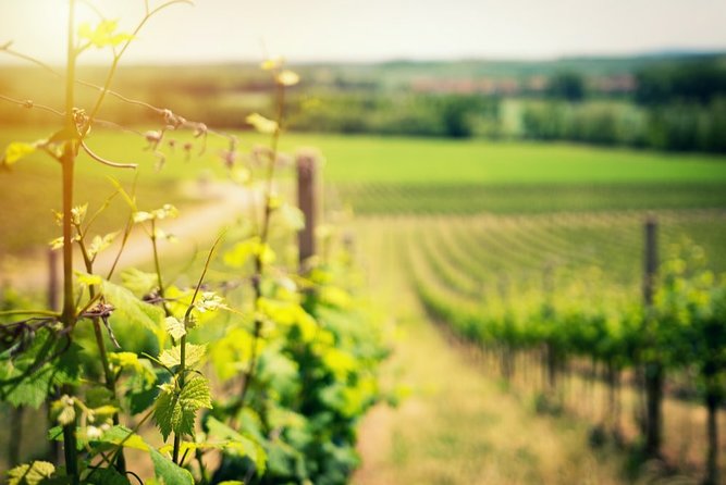 Knossos, Archanes, and Winery Private Day Trip From Limenas - Crete - Selecting Date and Travelers