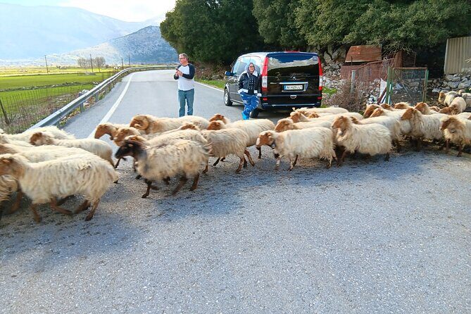Knossos & Lasithi Plateau: Villages, Olive Oil Tour From Elounda - What Makes This Tour Stand Out?