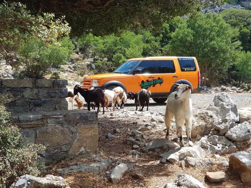 Knossos Palace and Pottery experience. Excursion Safari - Final Thoughts: Is It Worth It?