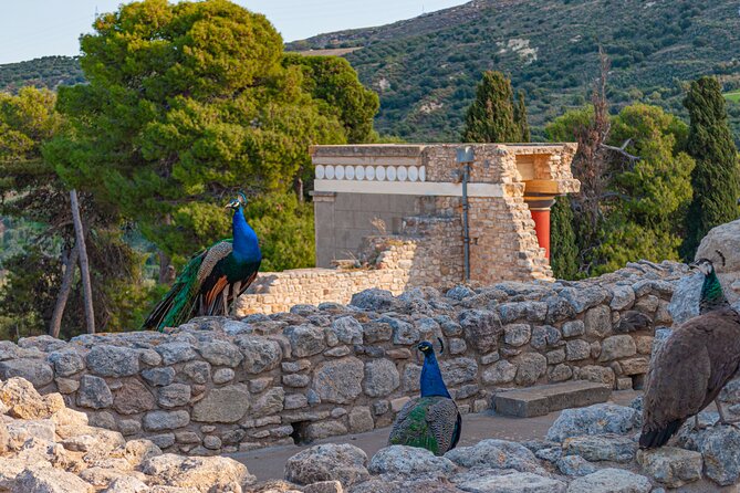Knossos Palace Private Walking Tour - Frequently Asked Questions