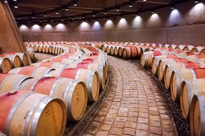 Knowing the Land of Malbec, Tasting Wine and Lunch in Luján De Cuyo - Exploring Malbec Vineyards