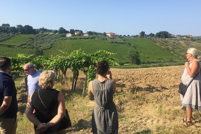 Knowledge, Passion and Love for the Earth Walk Through the Vineyards Taste the Wines - Good To Know