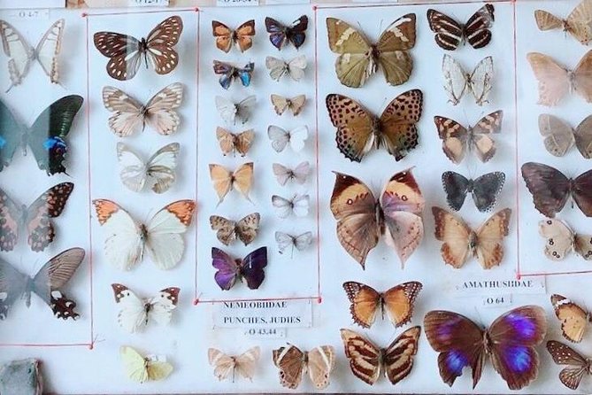 Knowledgeable Day Tour of Informative Museums in Pokhara. - Gurkha Museum