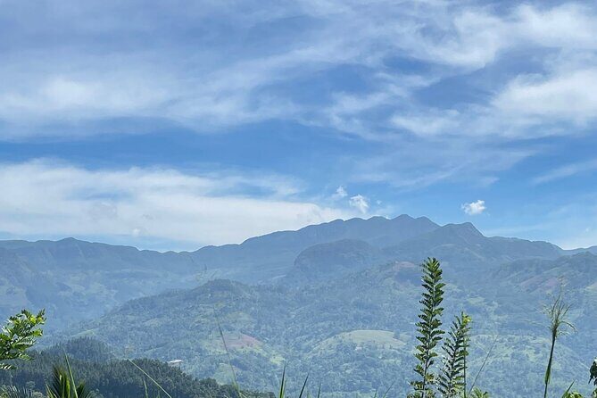 Knuckles five Peaks hiking and Waterfall - Exploring the Knuckles Five Peaks Hiking and Waterfall Tour: An In-Depth Review