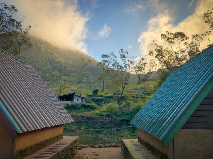 Knuckles Mountain Range Guided Hiking All Inclusive Tours - Good To Know