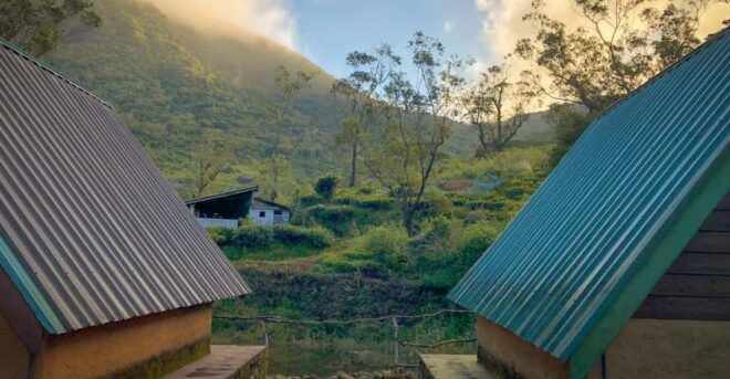 Knuckles Mountain Range Guided Hiking All Inclusive Tours - Trail Options