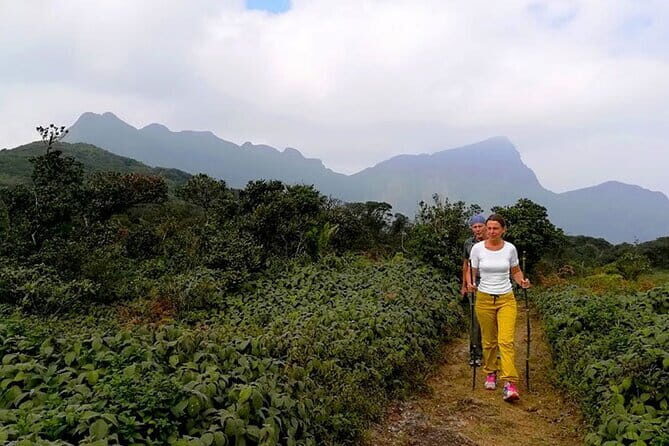 Knuckles Mountain Range Hiking and Trekking Day Tour From Kandy Hotels - A Closer Look at the Knuckles Mountain Range Day Tour