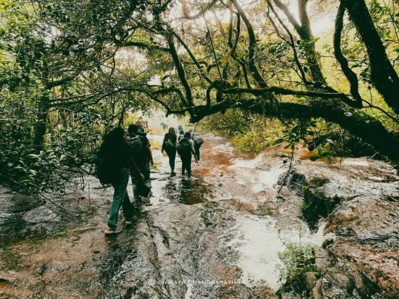 Knuckles Mountain Range: Kotaganga Waterfall Chain Hike - Starting the Adventure: Early Morning Pickup and Journey to Tangappuwa
