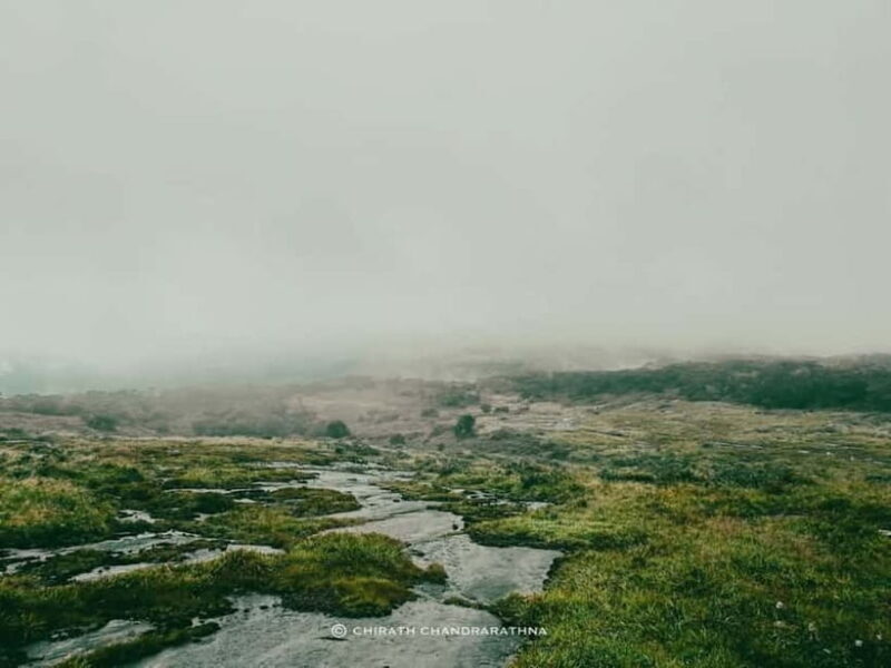 Knuckles Mountain Range: Kotaganga Waterfall Chain Hike - The Chain of Seven Waterfalls