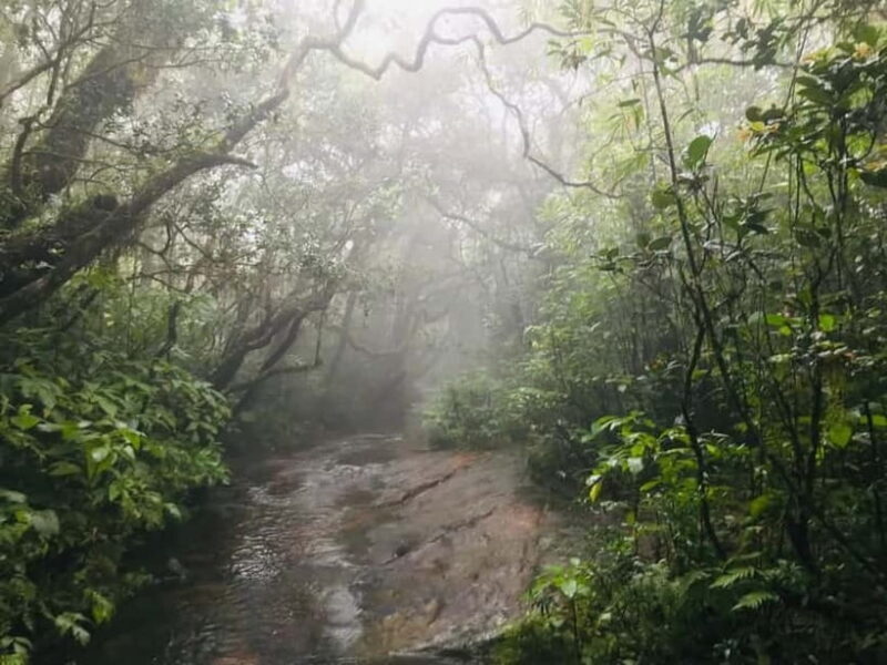 Knuckles Mountain Range: Kotaganga Waterfall Chain Hike - Cloud Forest and Wildlife Encounters