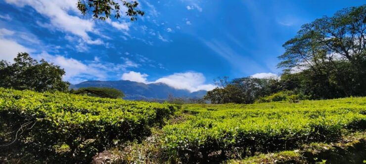 Knuckles Mountain Range Trekking - Itinerary and Schedule