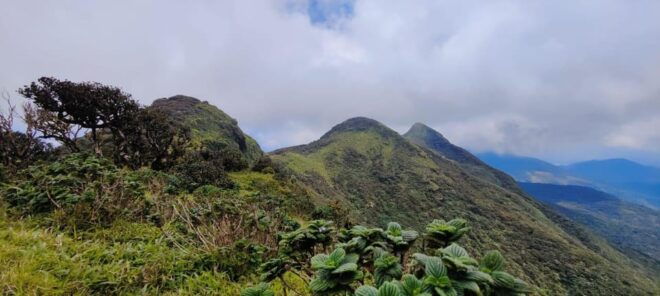 Knuckles Mountain Range Trekking - Guided Tour Highlights