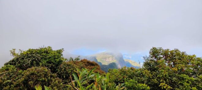 Knuckles Mountain Range Trekking - Naturalist Trekking Experience