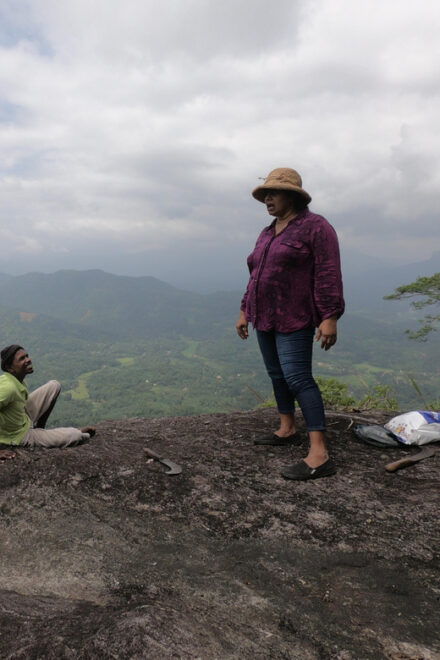 Knuckles Mountain Waterfalls Leopard Trail Trek From Kandy - Expert Guidance
