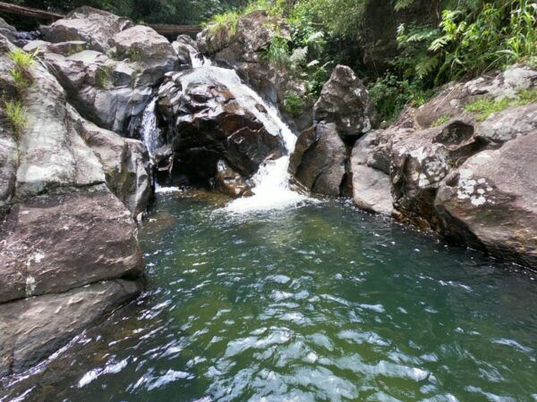 Knuckles Mountain Waterfalls Leopard Trail Trek From Kandy - Important Travel Information
