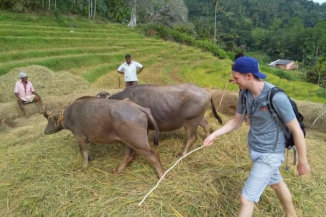 Knuckles Spice Trail Trek From Kandy - Trail Highlights