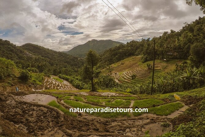 Knuckles Spice Trail Trek From Kandy - Trek Duration