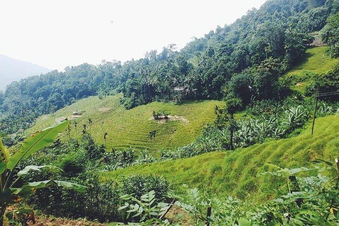 Knuckles Spice Trail Trek From Kandy - Additional Information and Restrictions