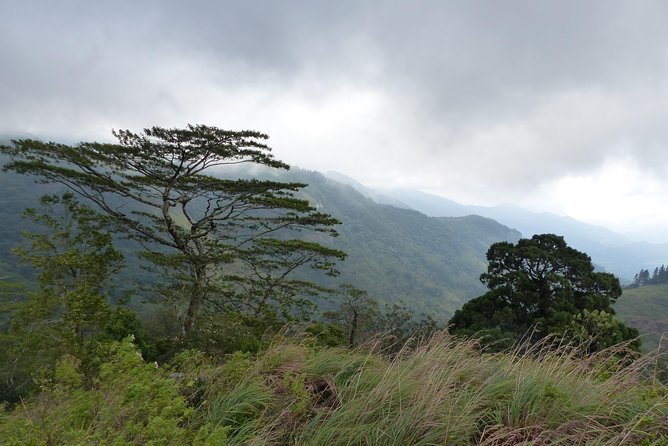 Knuckles Spice Trail Trek From Kandy - Common Questions